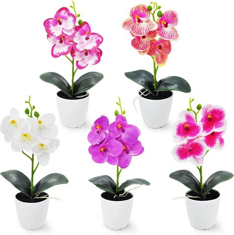 Amazon de ROLLWAY 5 Stück Orchideen Künstlich Kunstblumen im Topf 27