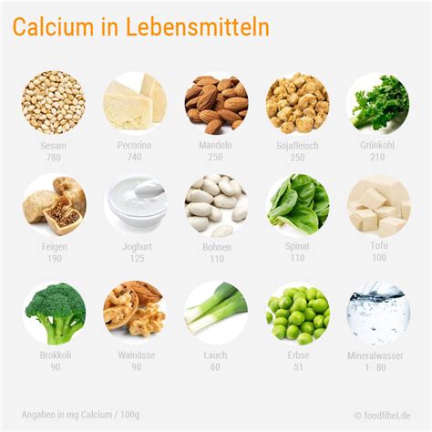 Krank Durch Calcium Food Fibel