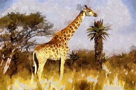 Giraffe Canvas, Large Art painting, Poster, Wall art, interior decor ...