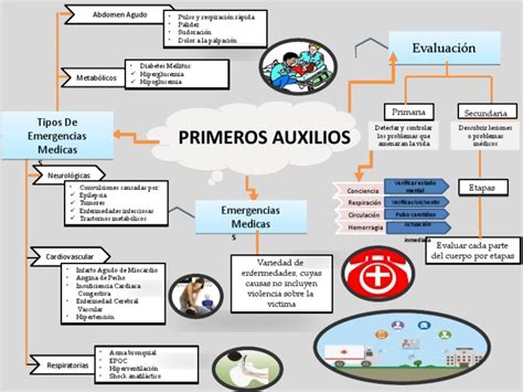 Mapa Conceptual De Primeros Auxilios 4 Pdf Primeros Auxilios