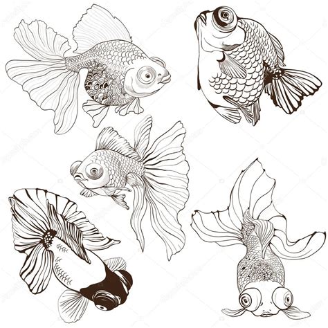 Goldfish - set of vector drawings. Use printed materials, signs, posters, postcards, packaging ...