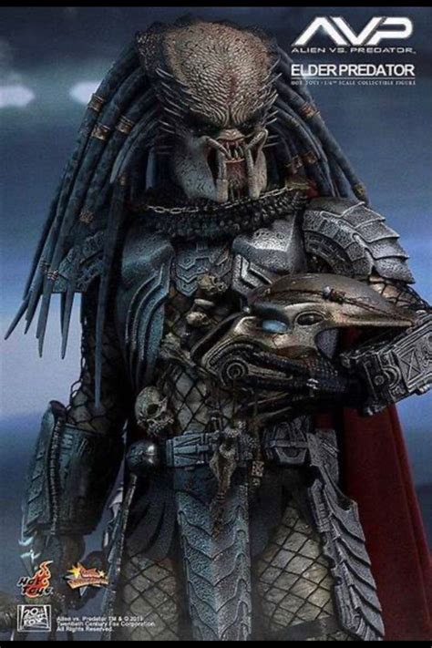 Hot Toys Alien Vs Predator MMS Elder Predator Th Scale Collectible Figure Hobbies Toys