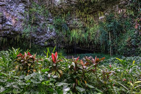 Fern Grotto, USA