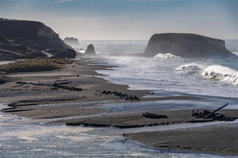 10 Best Russian River Beaches