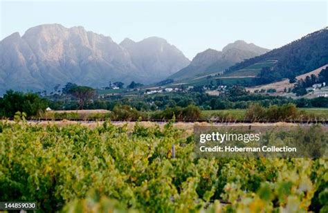 329 Cape Wine Route Stock Photos, High-Res Pictures, and Images - Getty ...