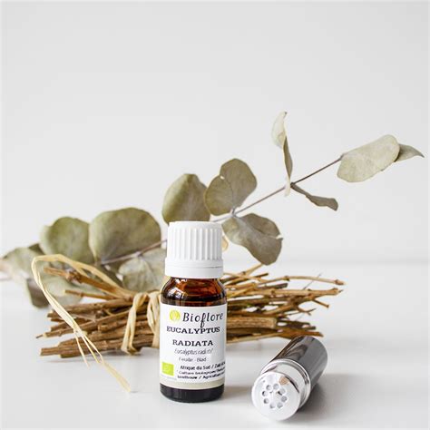 L huile essentielle d eucalyptus radié bio pour bien respirer en hiver