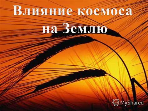 Презентация на тему: "Проблема зависимости метеорологических явлений от ...