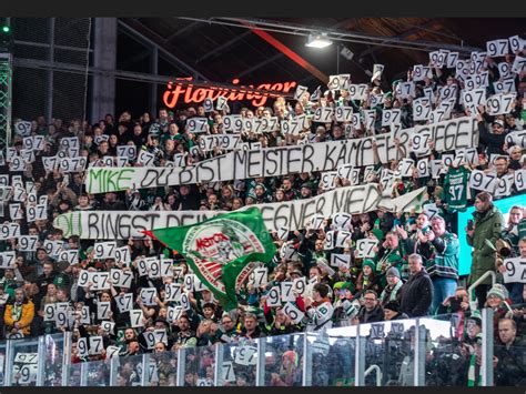 Starbulls Emotionaler Eishockeyabend Mit Mike Glemser Innpuls Me