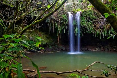 Top 9 Nude Beaches In Hawai All Details