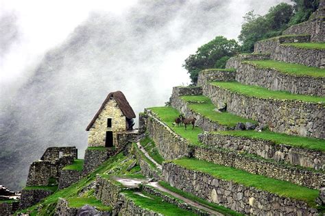 Machu Picchu - Traveler