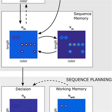 Schematic View Of The Dnf Model With Several Interconnected Fields Download Scientific Diagram