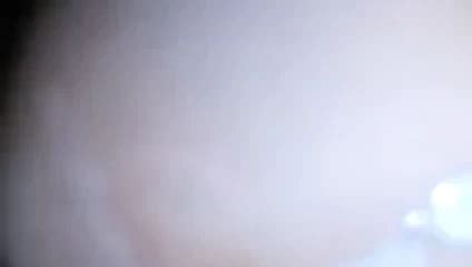 Free Whipped Cream Porn Videos 8 XHamster