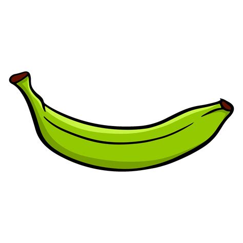 Green banana. Juicy fruit. 2253738 Vector Art at Vecteezy