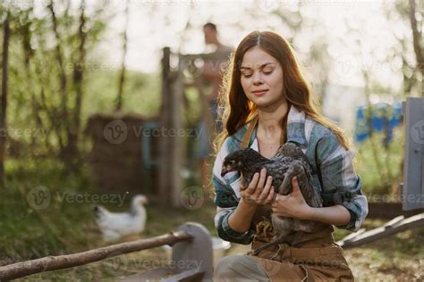 Young Female Zoologist Examines Chicken For Diseases On The Farm