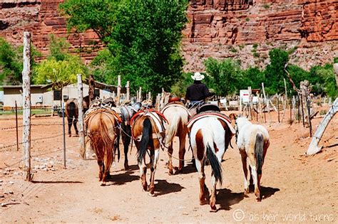 Havasu 4: Supai Village | As Her World Turns