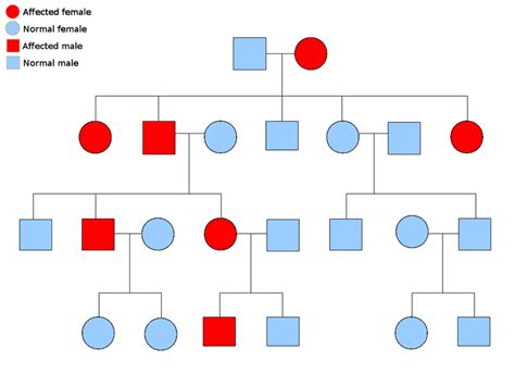 Difference Between Autosomal Dominant and Autosomal Recessive Disorders ...