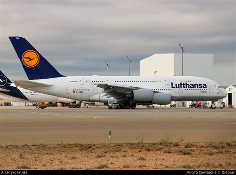 Aircraft Photo Of D Aimn Airbus A380 841 Lufthansa