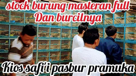 Stock Burung Masteran Full Dan Burcilnya Kios Safi I Pasbur Pramuka