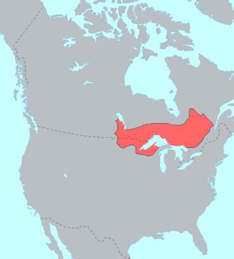 Ojibwe - Wikipedia