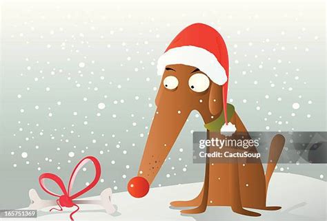 92 Christmas Dog Bone Stock Photos, High-Res Pictures, and Images ...