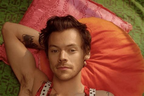 Chi è Harry Styles Biografia Carriera Vita Privata E I Nostri