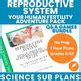 Human Reproduction Biology Health Syllabus Sub Plan Sex Ed Q A Games Bundle