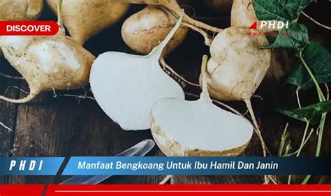 Temukan Manfaat Bengkoang Untuk Ibu Hamil Dan Janin Yang Wajib Kamu Intip