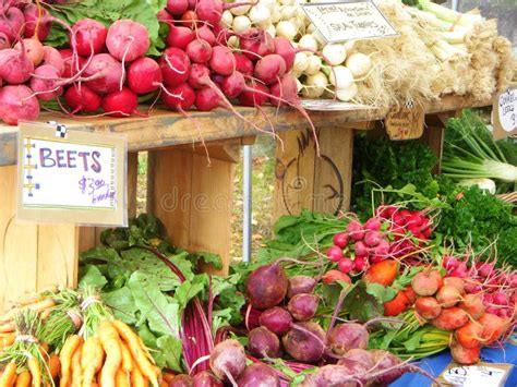 Farmers Market Stock Photo Image Of Farming Apples 25670324