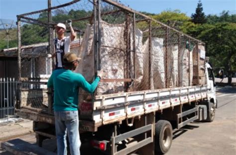 Prefeitura muda dias em que caminhão da coleta seletiva passa pelos bairros