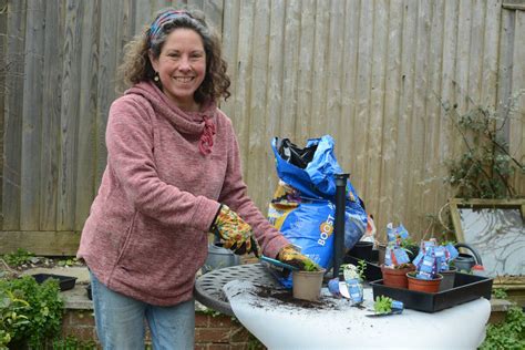 A Big Plug For Plugs Amateur Gardening