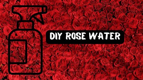 How To Make Rose Water At Home Diy Homemade Rose Water