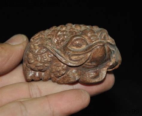 Collect Chinese Wood Hand Carved Golden Toad Bufo Spittor Coin Wealth