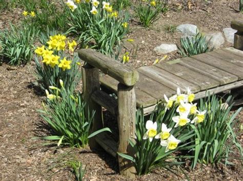 Handmade Garden Benches Adding Rustic Vibe to Backyard Designs