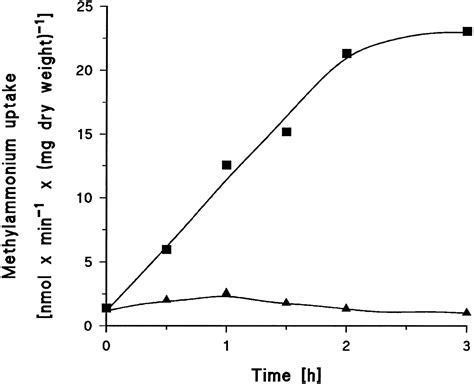 Functional And Genetic Characterization Of The Methylammonium Uptake