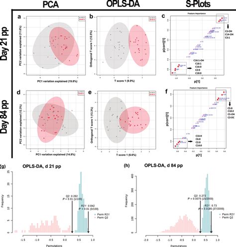 Principal Component Analysis Pca A D Orthogonal Partial Least Download Scientific Diagram