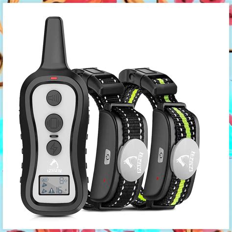 Here are the 7 best collars for training your dog – Artofit