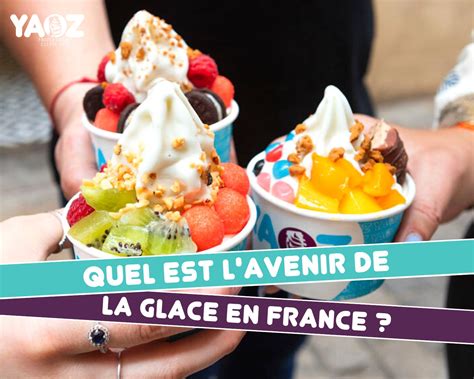 Quel Est L Avenir De La Glace En France Les Chiffres De La Glace 2023