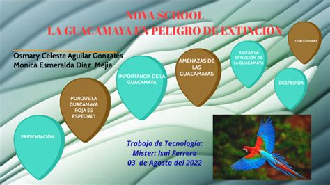 EXPOSICIÓN SOBRE LA GUACAMAYA EN PELIGRO DE EXTINCIÓN by Iris Marilut ...