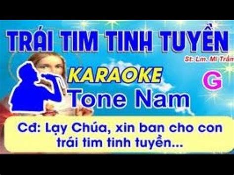 Tr I Tim Tinh Tuy N Karaoke Tone Nam St Lm Mi Tr M L Y Ch A Xin Ban Cho