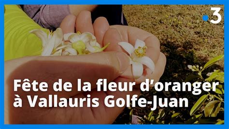 À Vallauris Golfe Juan la fête de la fleur doranger célèbre une