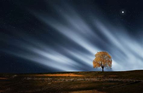 Fotos Gratis Horizonte Nube Cielo Noche Estrella Amanecer