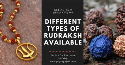 Different Types Of Rudraksha And Benefits