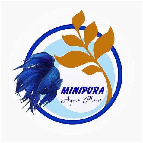 Medium Care Plants Minipura Aqua