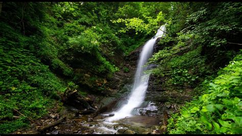 Nature Sounds Of A Forest River For Relaxing Natural Meditation Music