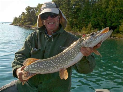 Fishing In Lake Huron At Bruce Bay Cottages And Lighthouse