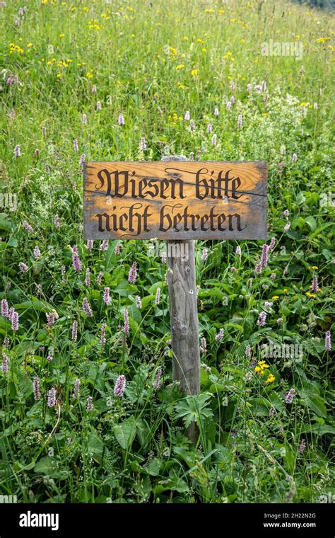 Sign In A Meadow Wiese Bitte Nicht Betreten Oberstdorf Germany Stock