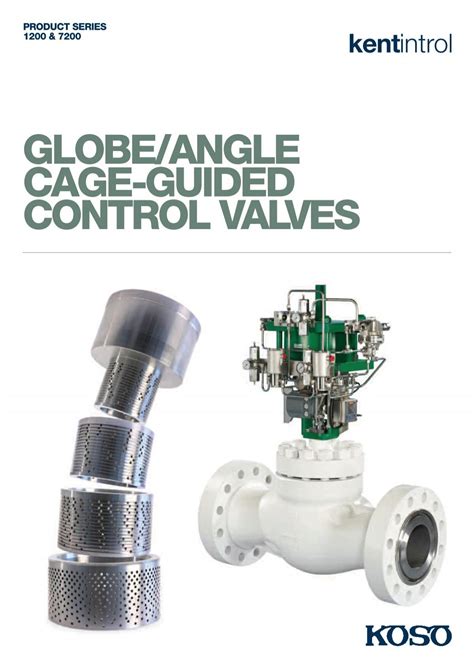 Globe Angle Cage Guided Control Valves Ome