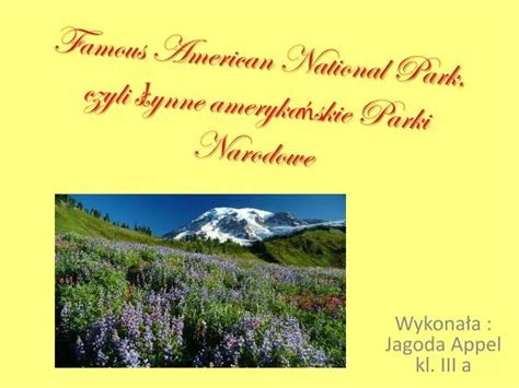 Ppt Famous American National Park Czyli S Ynne Ameryka Skie