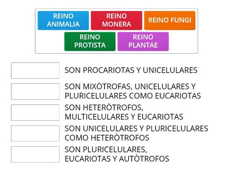 PRACTICA CALIFICADA DE LOS REINOS BIOLÒGICOS Une las parejas