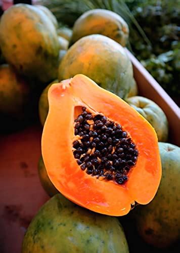 The Different Types Of Papaya: A Guide To Varieties, Characteristics, And Uses - Rustic Roots Living